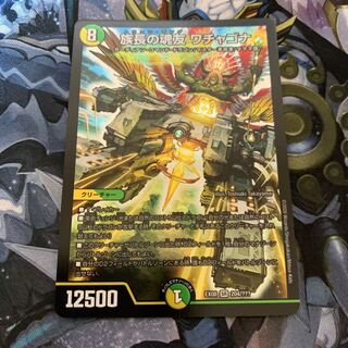 族長の魂友 ワチャゴナ