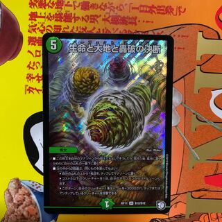 生命と大地と轟破の決断