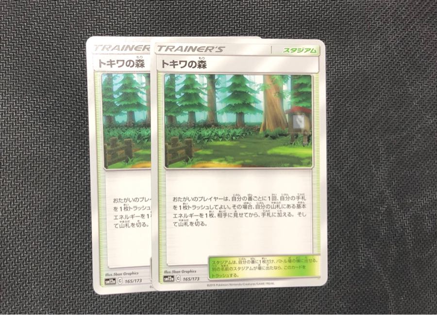 [特価] トキワの森 2枚セット