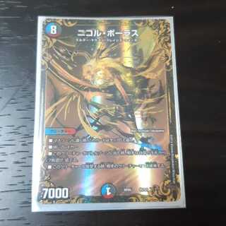 ニコルボーラス