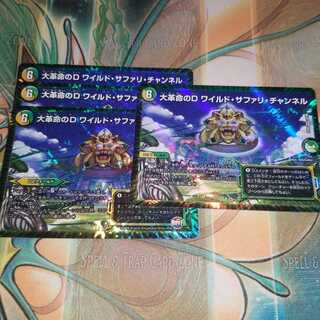 大革命のD ワイルド・サファリ・チャンネル