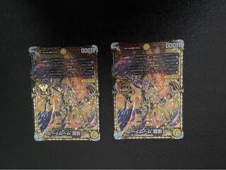 煌龍 サッヴァーク