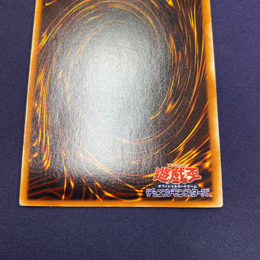 Neo-Spacian Aqua Dolphin Relief