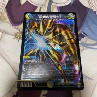 「雷光の聖騎士」