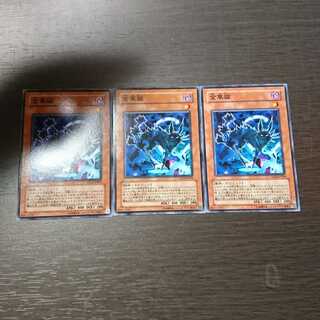 金華猫 ノーマル