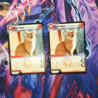 時空の戦猫シンカイヤヌス｜時空の戦猫ヤヌスグレンオー 2枚