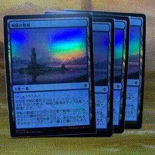 神秘の聖域」の激安通販 | magi
