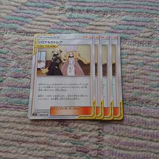 シロナ＆カトレア4枚