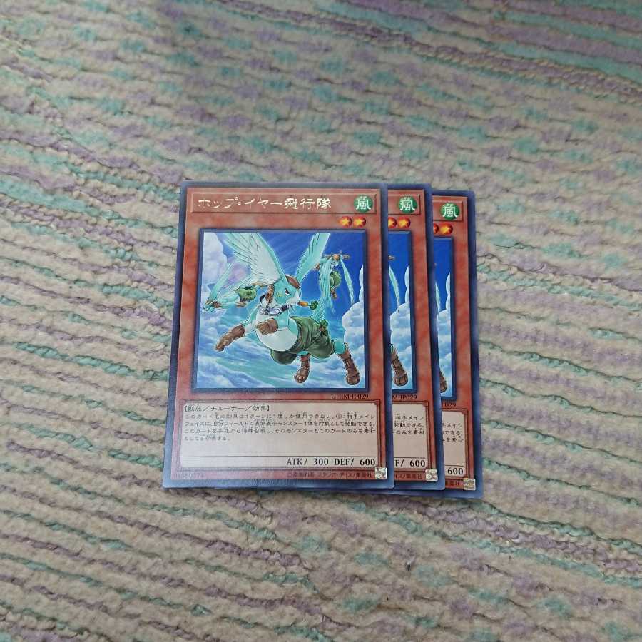 ホップ・イヤー飛行隊3枚