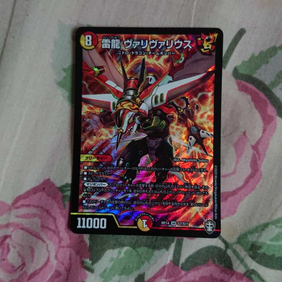 雷龍 ヴァリヴァリウス