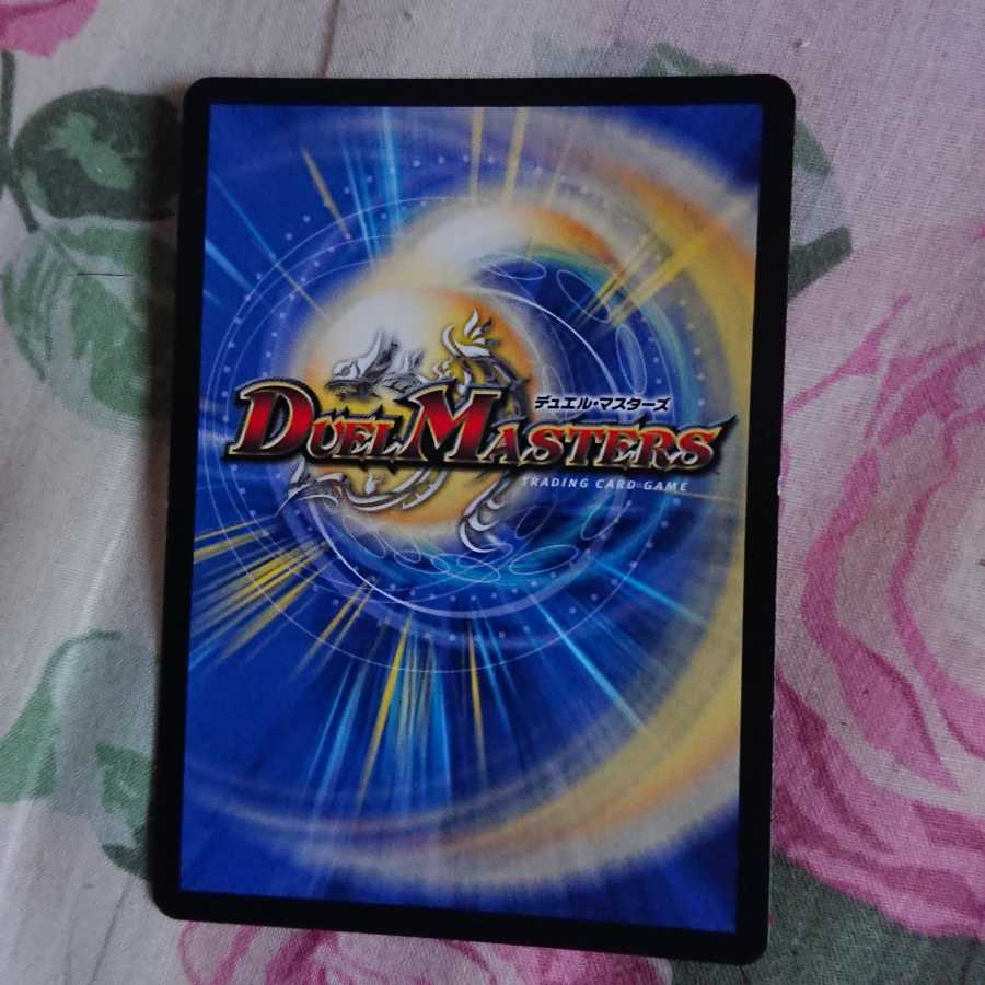 雷龍 ヴァリヴァリウス