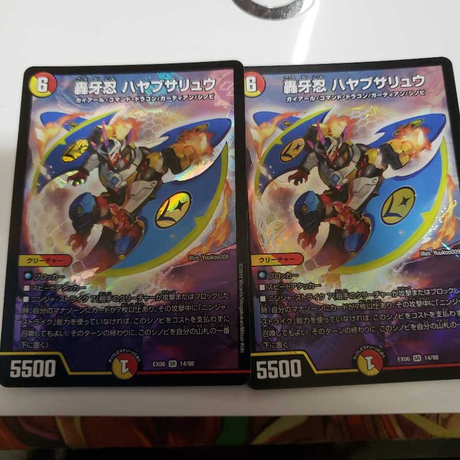 ハヤブサリュウ