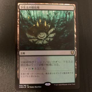 下生えの競技場 foil