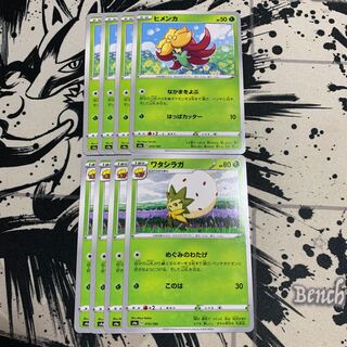 ヒメンカ　ワタシラガ