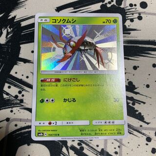 コソクムシ　色違い