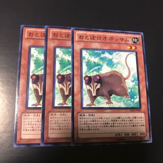 おとぼけオポッサム ノーマル