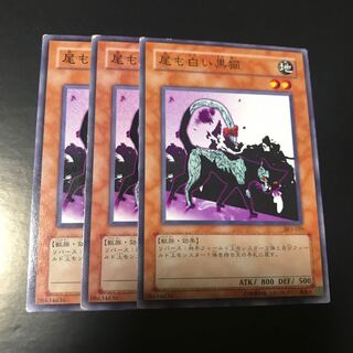 尾も白い黒猫 ノーマル