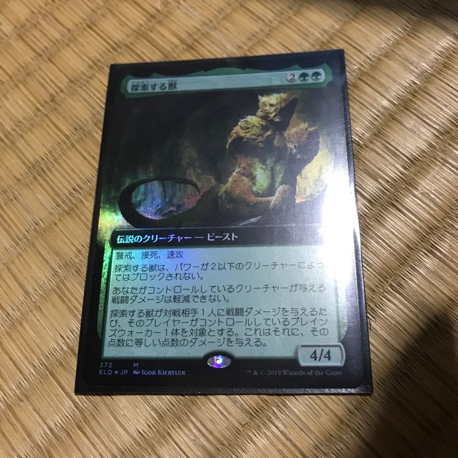 拡張 foil 探索する獣