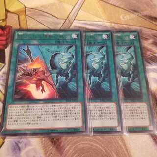 【願い事】妨げられた壊獣の眠り 3枚