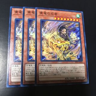 黄竜の忍者 ノーマル