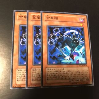 金華猫 ノーマル