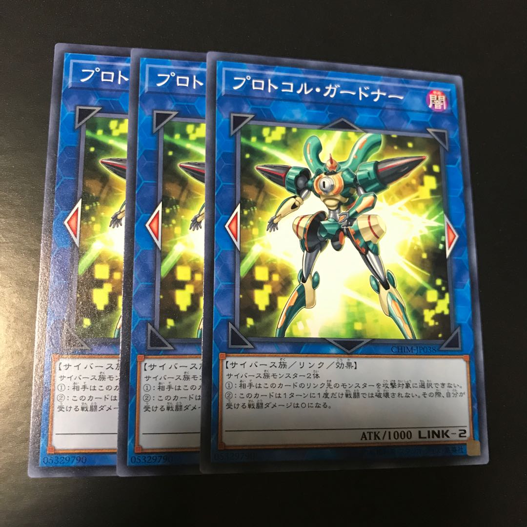 プロトコル・ガードナー ノーマル