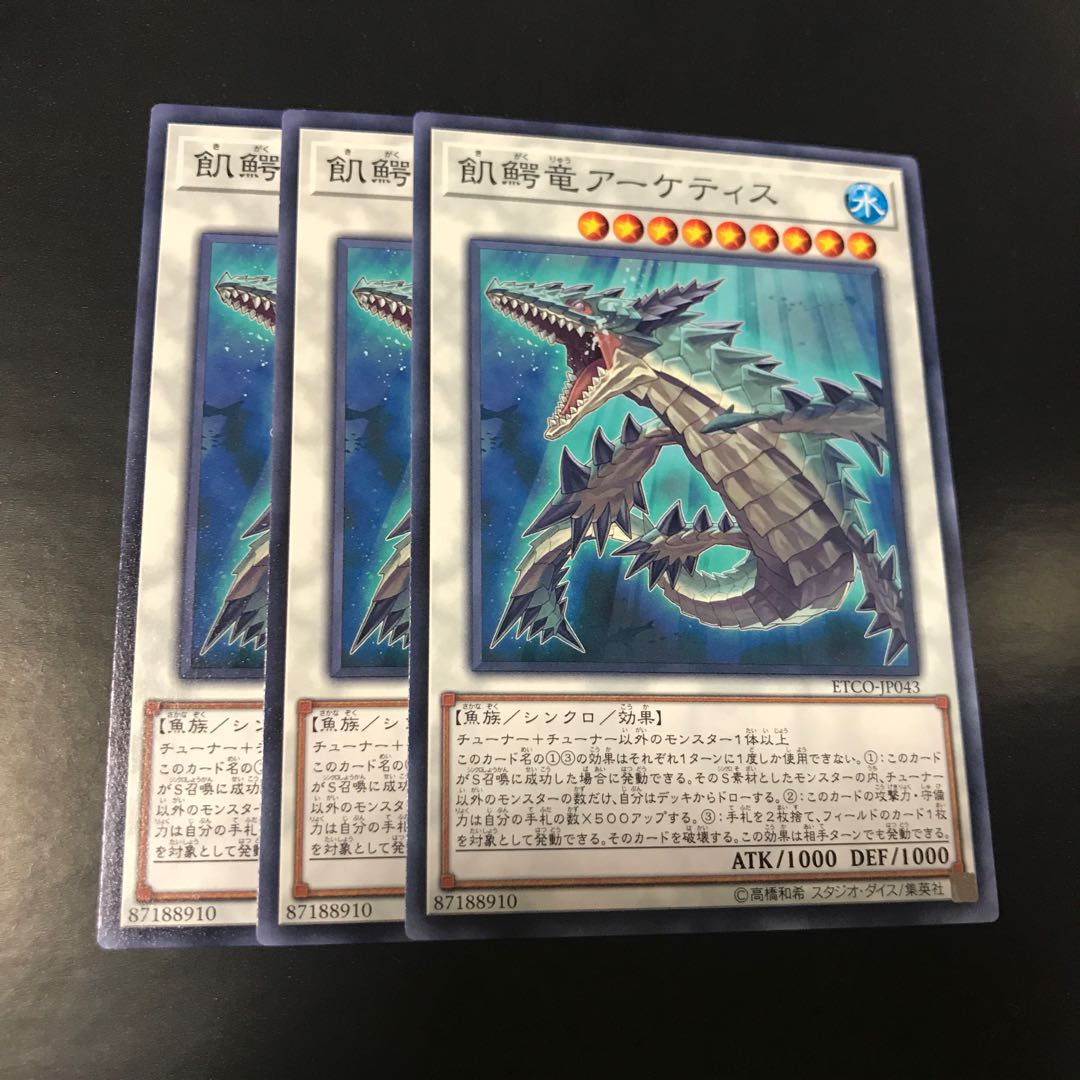 飢鰐竜アーケティス ノーマル