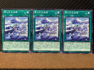 【ぽぽたん】遊戯王 7022 雪の天気模様 3枚 ノーマル