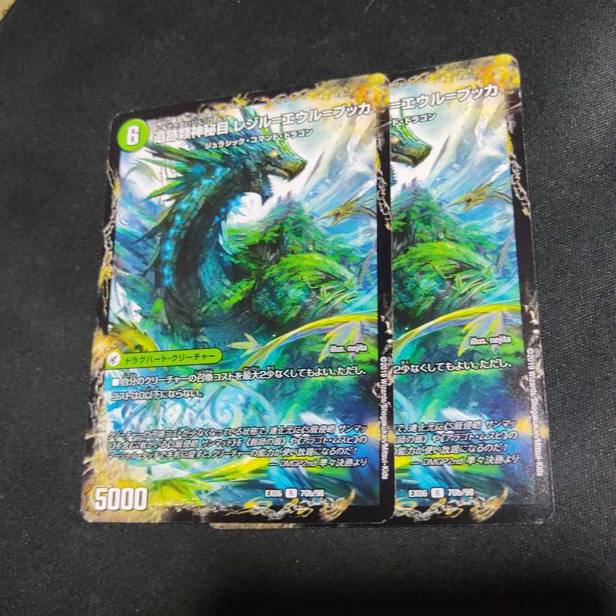 神秘の集う遺跡 エウル=ブッカ｜遺跡類神秘目 レジル=エウル=ブッカ