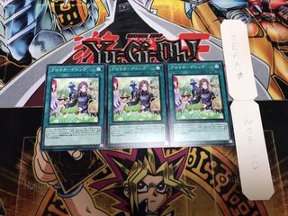 アロマガーデニング ノーマル 3枚セット てら