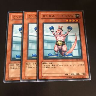 カンガルー・チャンプ ノーマル