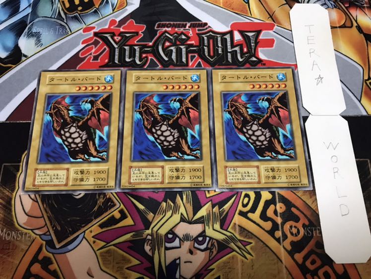 Turtle Bird Early Normal Set of 3 Tera