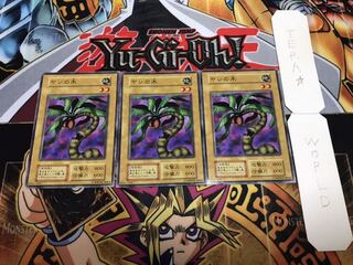 ヤシの木 初期 ノーマル 3枚セット てら