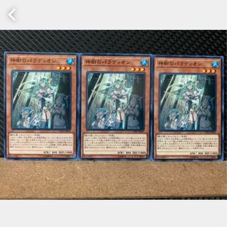 【ぽぽたん】遊戯王 4719 神樹のパラディオン 3枚 ノーマル