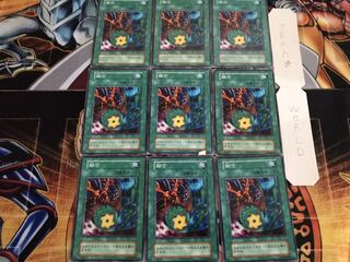 融合 初期 ノーマル 9枚セット てら