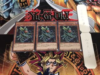 捕食植物オフリス・スコーピオ レア 3枚セット てら