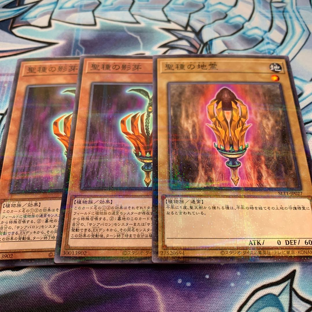 聖種の影芽 パラレル ノーマル 他