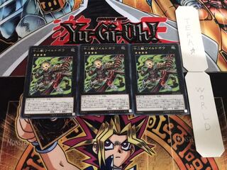 十二獣ワイルドボウ レア 3枚セット てら