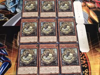 天威龍-アーダラ レア 9枚セット てら