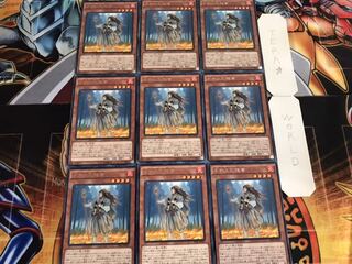 不知火の隠者 レア 9枚セット てら