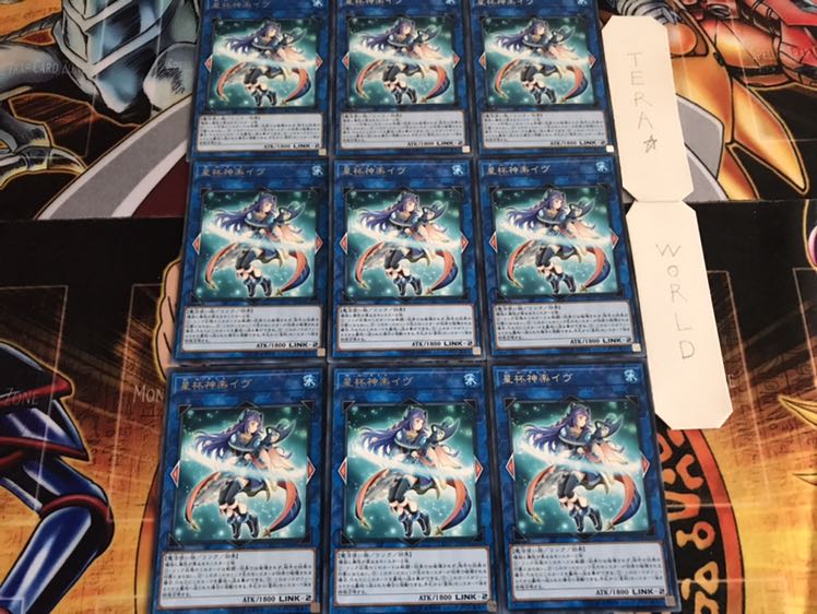 Ib the World Chalice Priestess Rare, set of 9 Tera.