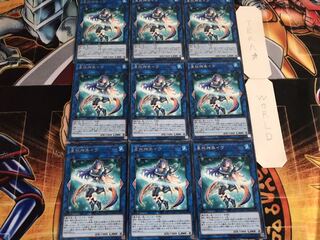 Ib the World Chalice Priestess Rare, set of 9 Tera.
