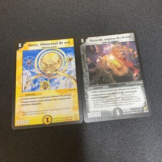 アリエス ジェノサイド フランス語