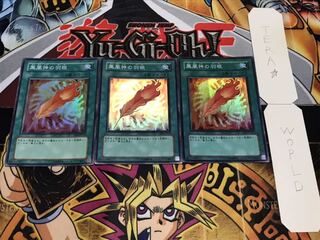 鳳凰神の羽根 スーパー 3枚セット てら