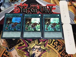 隣の芝刈り スーパー 3枚セット てら