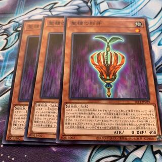 聖種の影芽 ノーマル