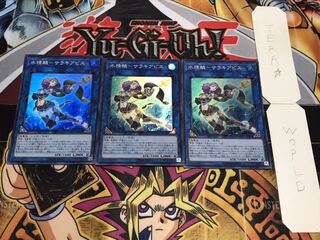 水精鱗-サラキアビス スーパー 3枚セット てら