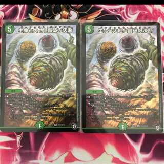 Life Life and Earth and Roaring Break Decision 2 pieces