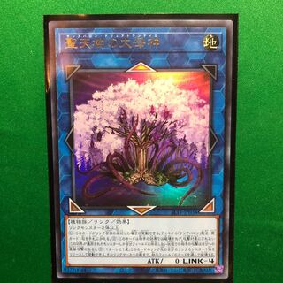 遊戯王　聖天樹の大母神 ウルトラレア　1枚　サンアバロン 1枚
