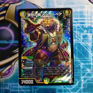 我怒の鎖 パンサーベア